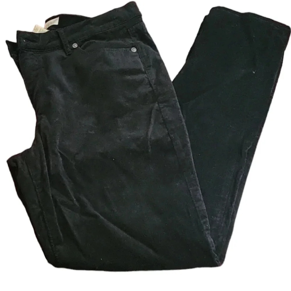 Loft Outlet Pants